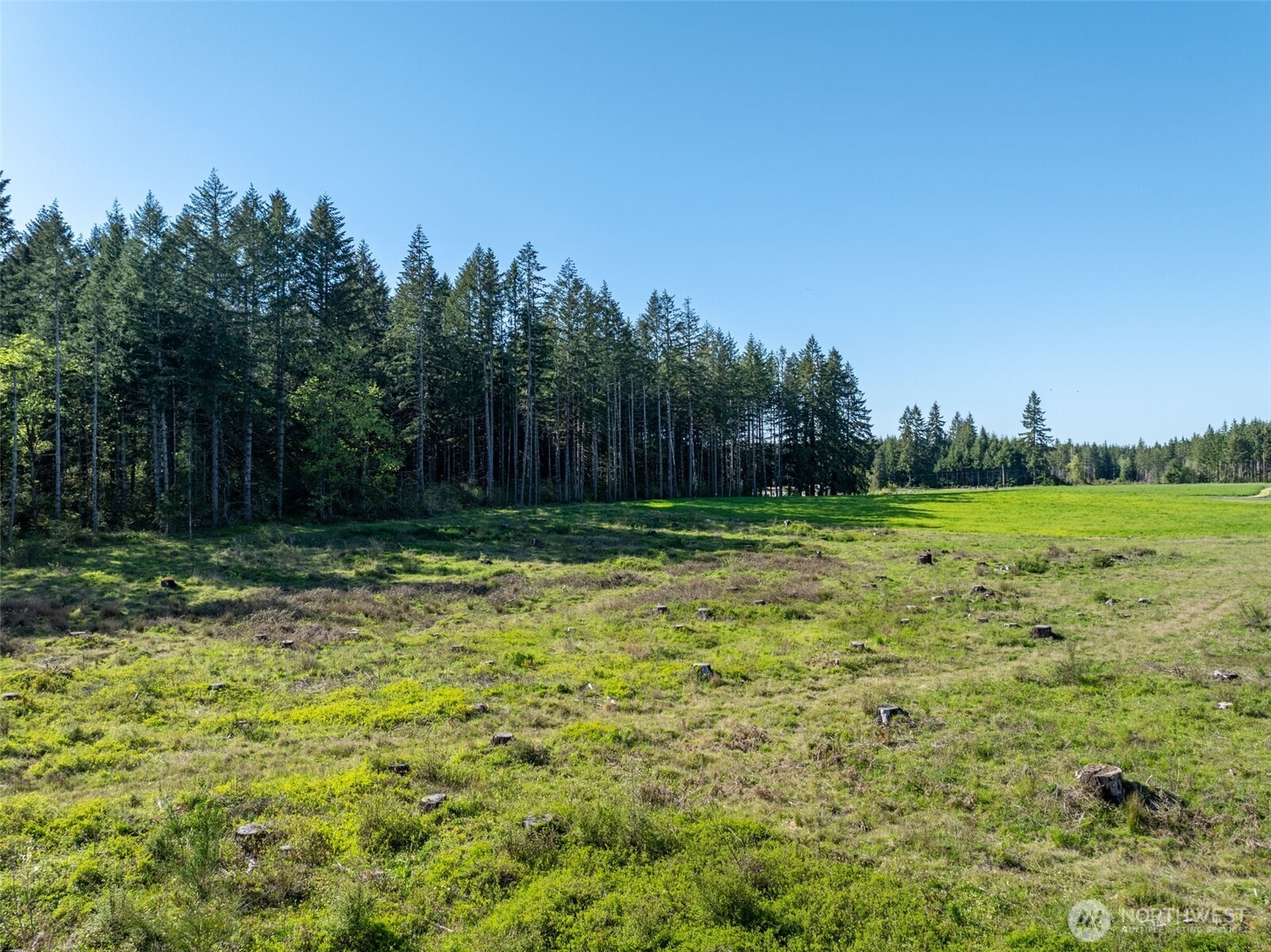 0 McGlaughlin Road, Unit 4 Winlock, WA 98596 - Photo 12 of 12 a backyard of a house with lots of green space