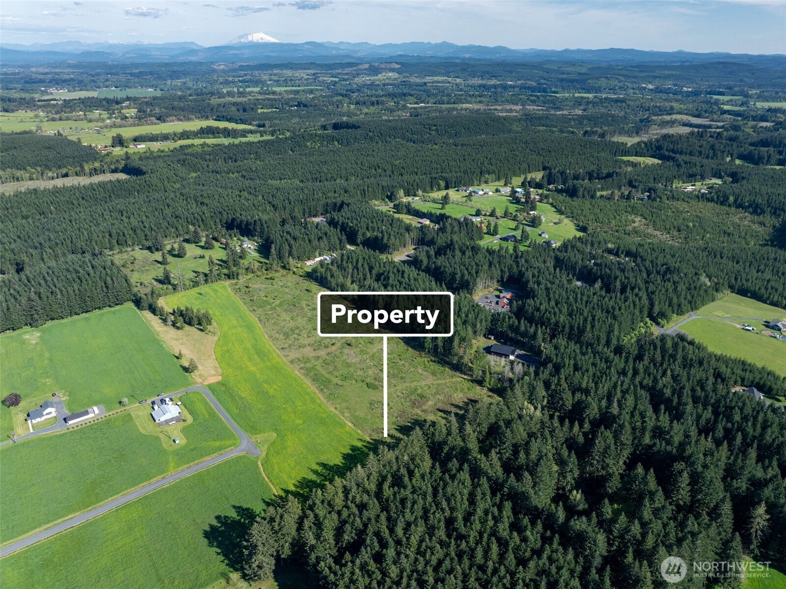 0 McGlaughlin Road, Unit 4 Winlock, WA 98596 - Photo 6 of 12 a view of a street with a lush green forest