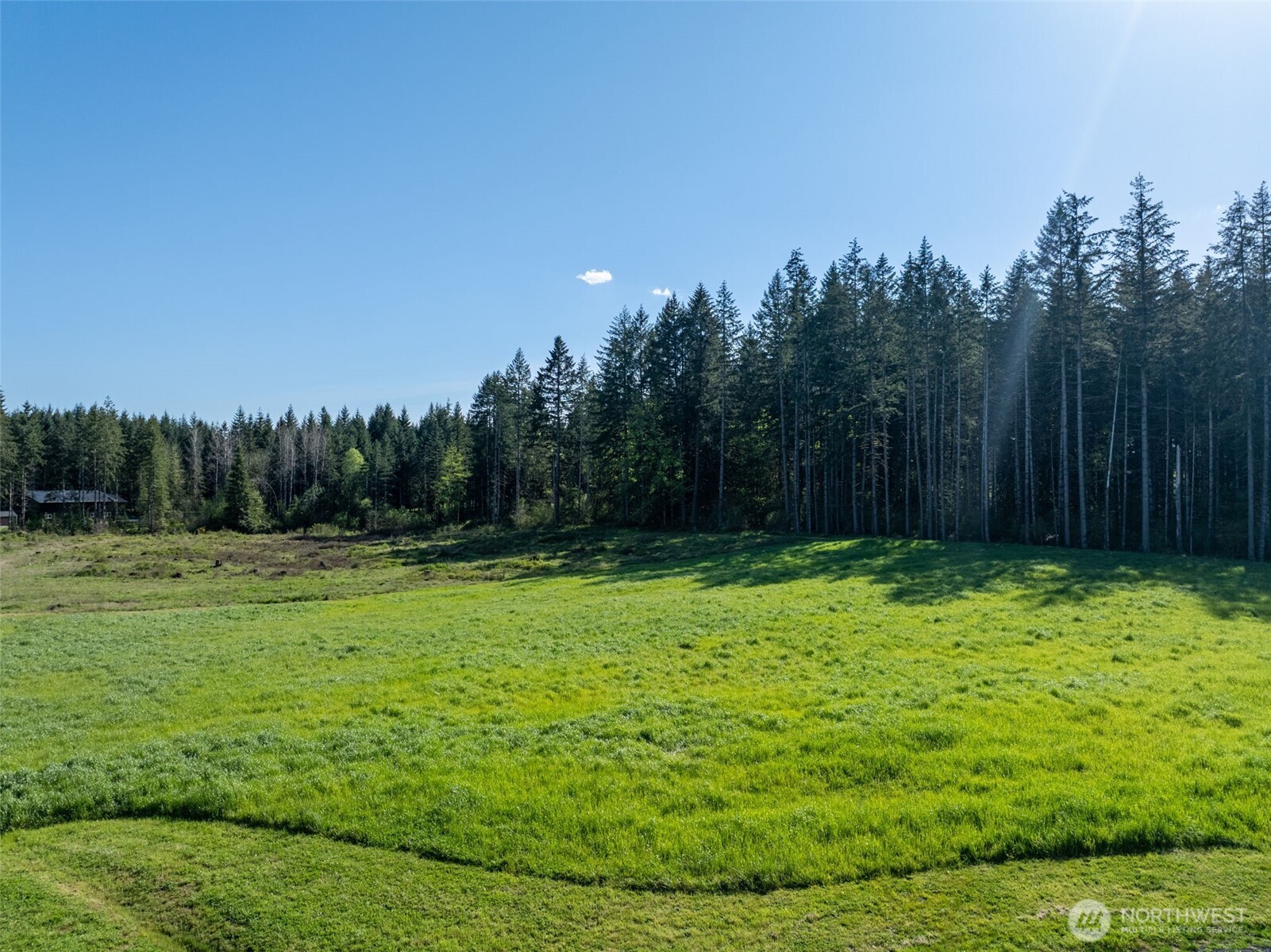 0 McGlaughlin Road, Unit 4 Winlock, WA 98596 - Photo 10 of 12 a view of a backyard