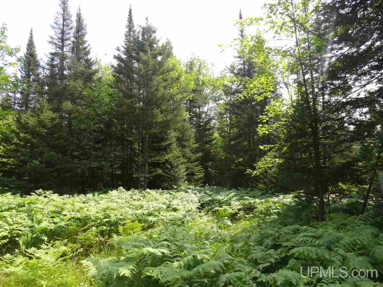 40-acres 40-acres Co Road Ishpeming, MI 49849 - Photo 9 of 36