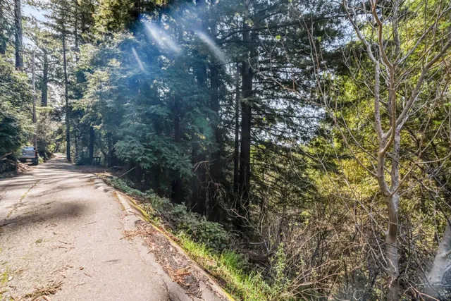 a view of a yard with trees
