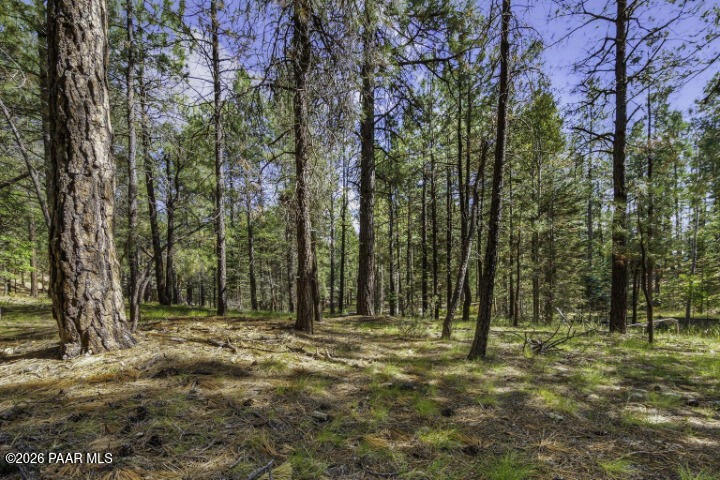 0 South Comstock Mine Road Prescott, AZ 86303 - Photo 1 of 19 a view of outdoor space with trees