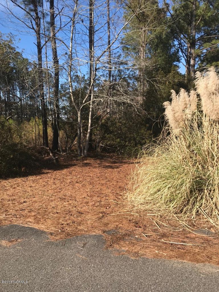 2805 Sandy Branch Road Longs, SC 29568 - Photo 1 of 10 IMG_1670