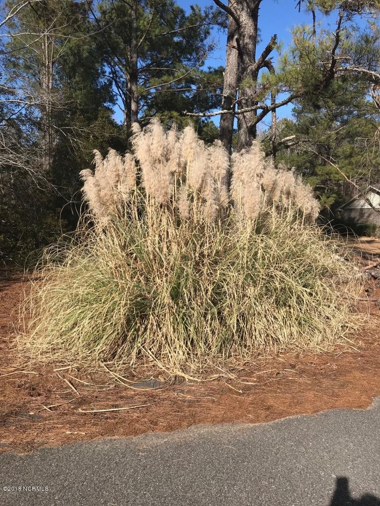 2805 Sandy Branch Road Longs, SC 29568 - Photo 2 of 10 IMG_1669