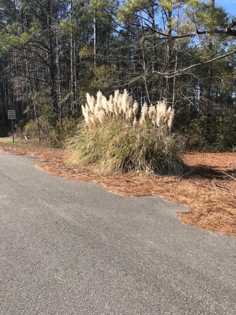 2805 Sandy Branch Road Longs, SC 29568 - Photo 3 of 10 IMG_1668