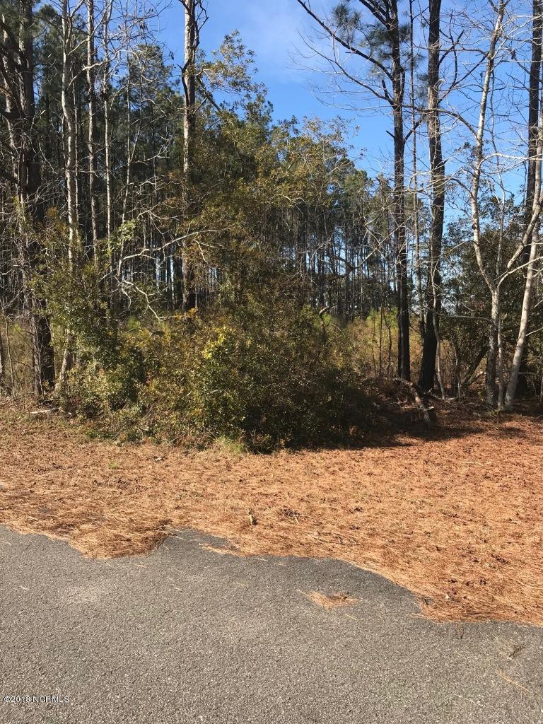 2805 Sandy Branch Road Longs, SC 29568 - Photo 4 of 10 IMG_1671