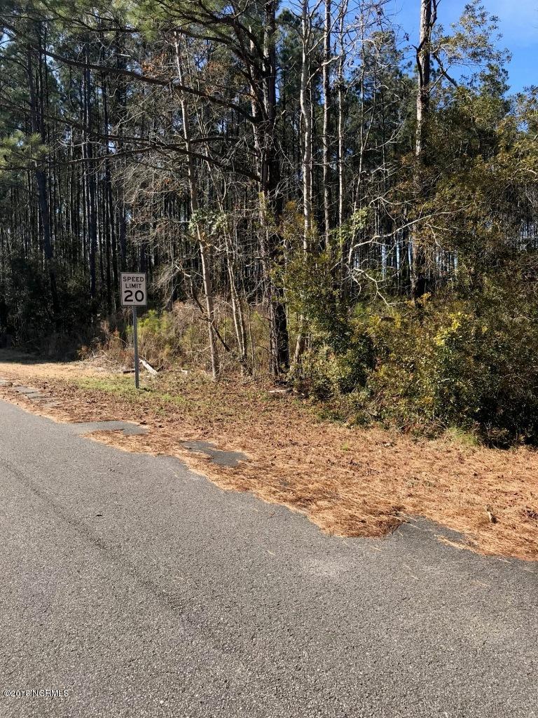 2805 Sandy Branch Road Longs, SC 29568 - Photo 5 of 10 IMG_1672