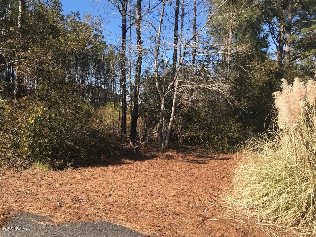 2805 Sandy Branch Road Longs, SC 29568 - Photo 6 of 10 IMG_1685