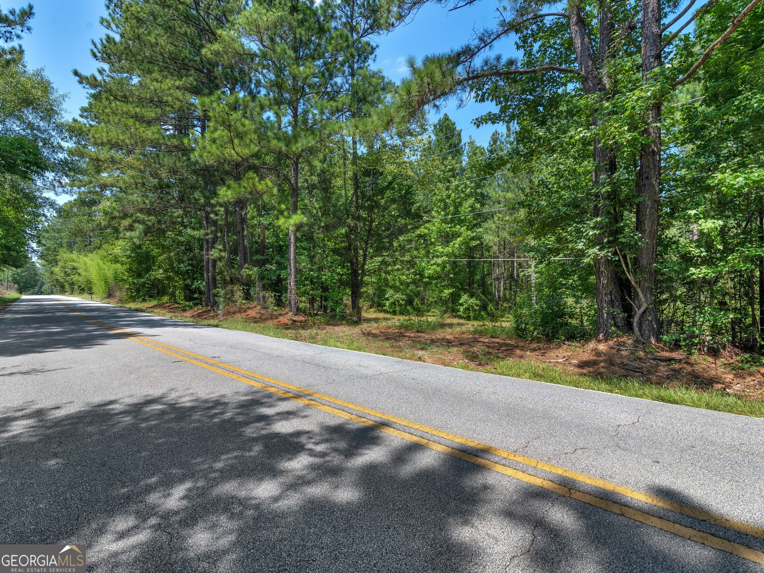 0 Chestnut Road Covington, GA 30016 - Photo 3 of 6
