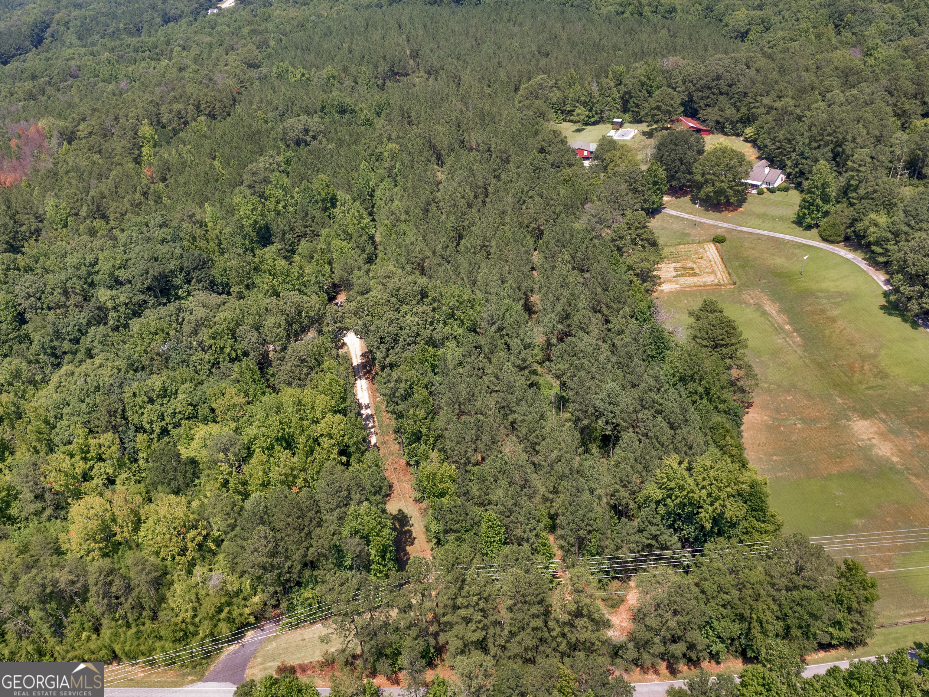 0 Chestnut Road Covington, GA 30016 - Photo 4 of 6