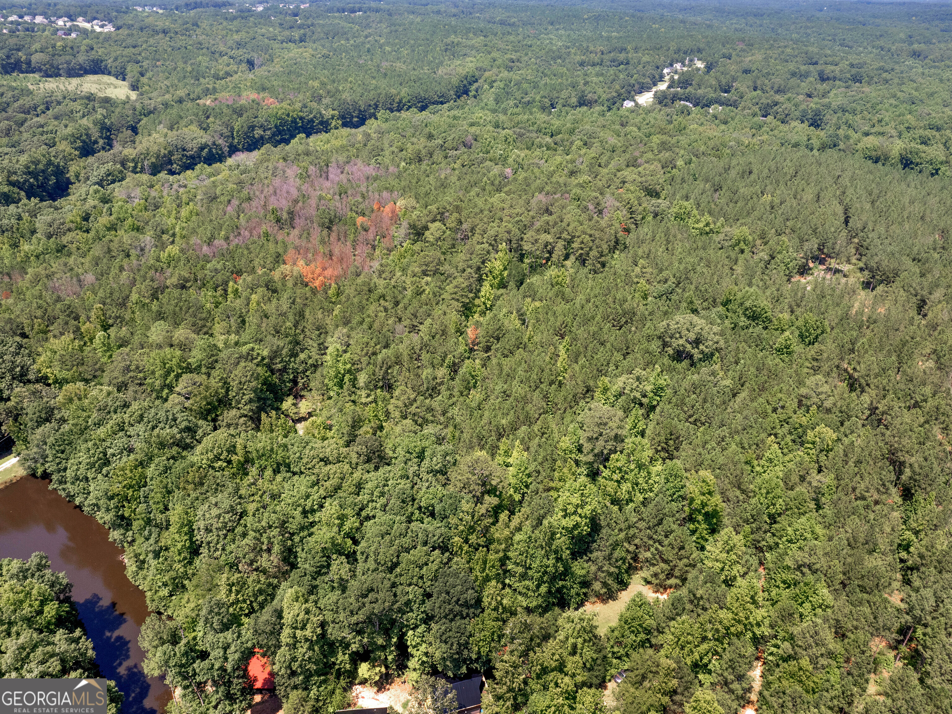 0 Chestnut Road Covington, GA 30016 - Photo 6 of 6