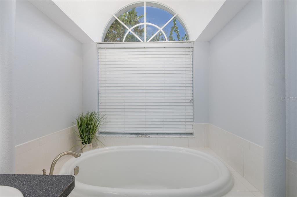 8918 Linebrook Drive Trinity, FL 34655 - Photo 19 of 76