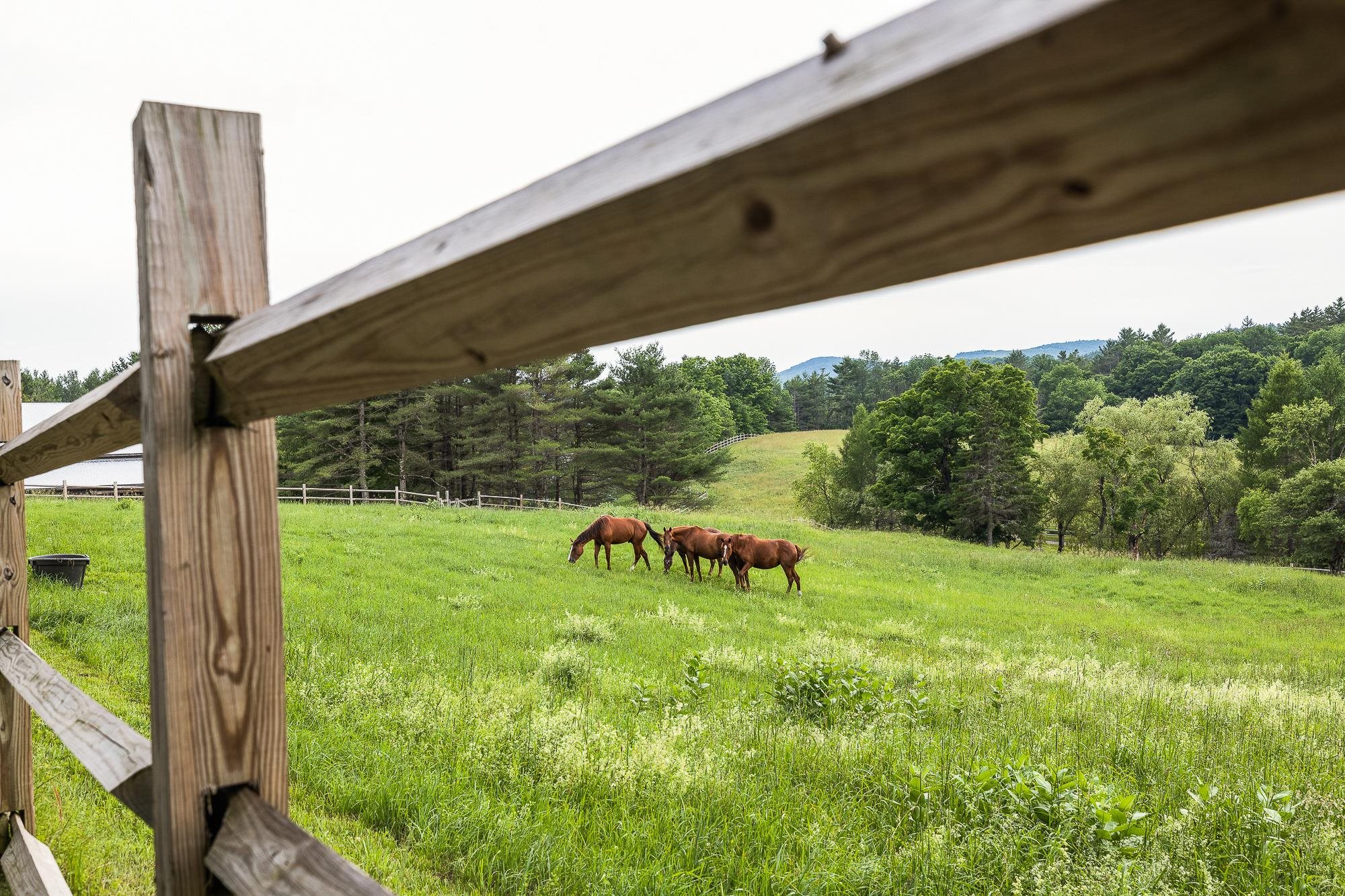 313 Taylor Road Peacham, VT 05821 - Photo 25 of 40