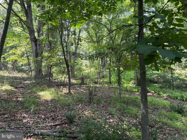 Lot 24-a Ac Fox Run Baker, WV 26801 - Photo 32 of 34