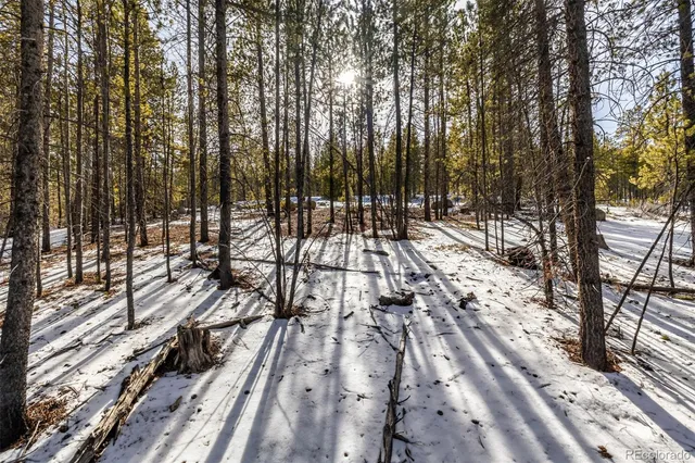 a view of a street with trees