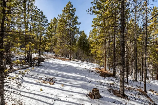 a view of a tree in the middle of a yard
