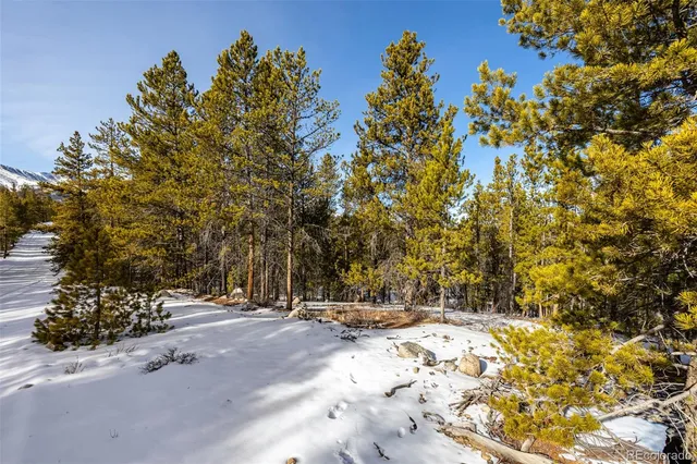 a view of a yard with a tree