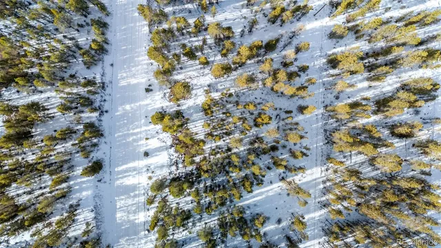 a view of yard with trees in a background