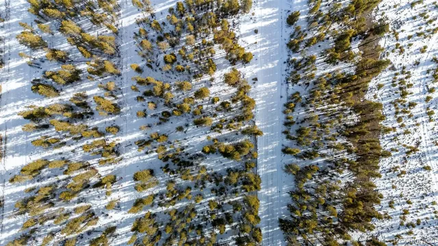 a view of residential houses with trees