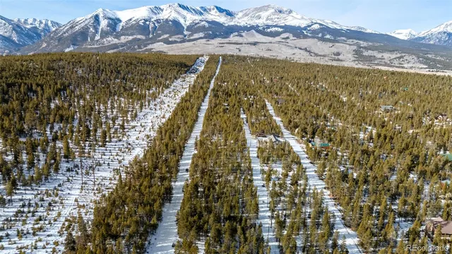 $85,000 | 7205 Brassfield Drive, Leadville, CO 80461