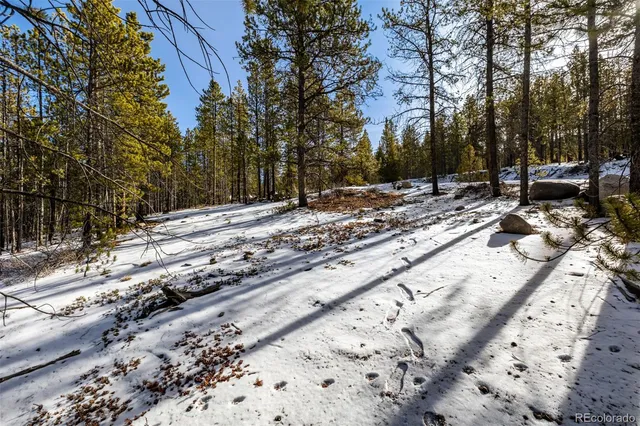 a view of a backyard with snow on the road