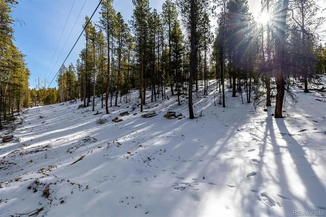 a view of outdoor space with trees