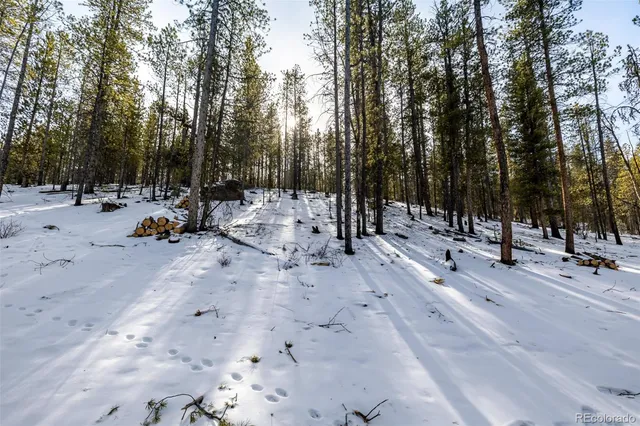 a view of outdoor space with trees