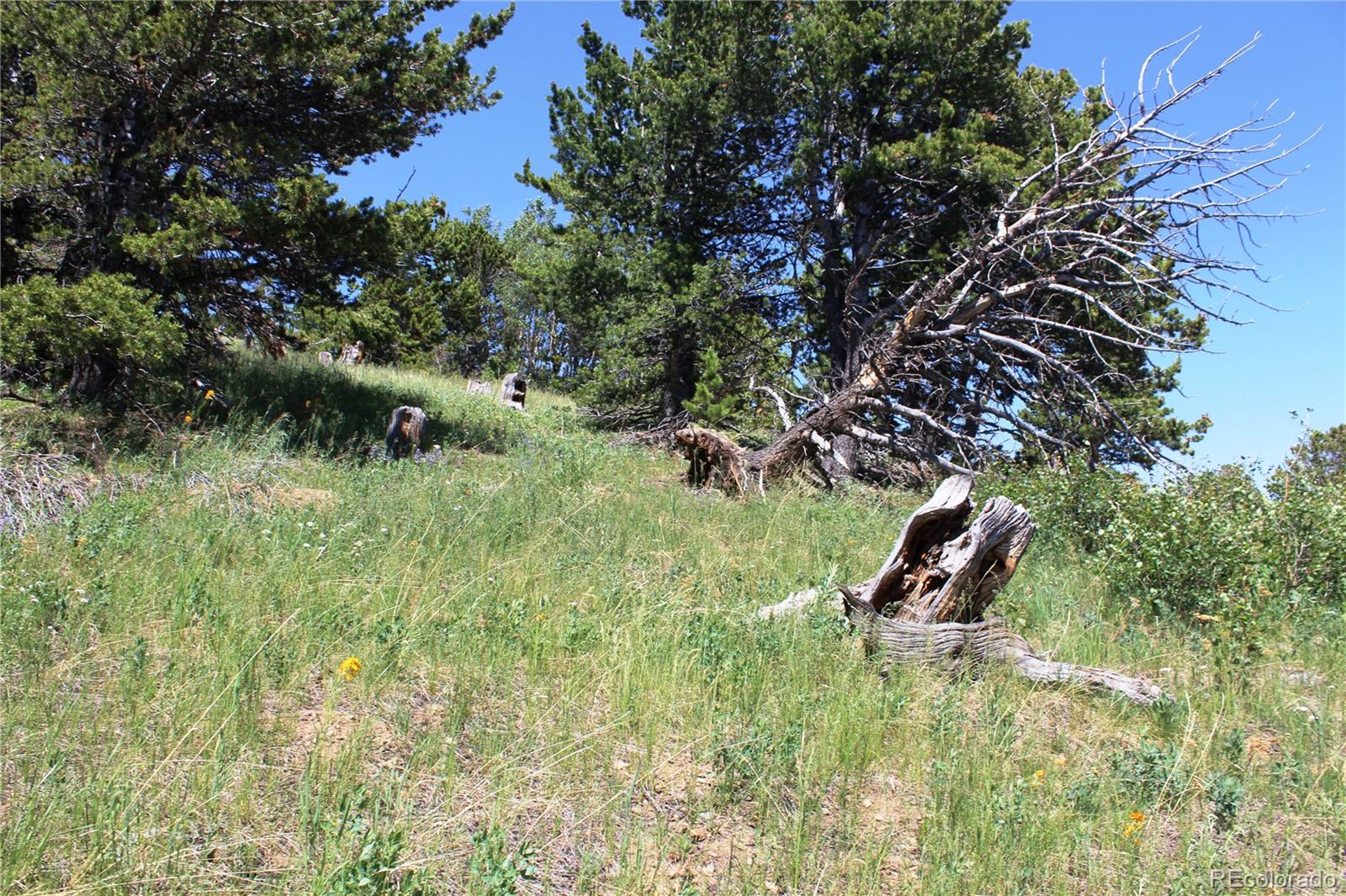 1595 Missouri Gulch Road Black Hawk, CO 80422 - Photo 35 of 49