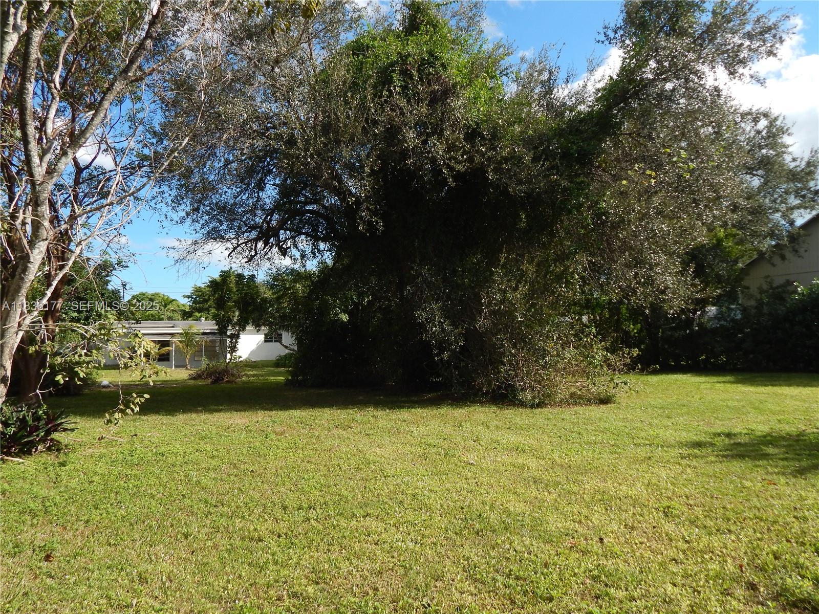 7800 Southwest 69th Avenue Miami, FL 33143 - Photo 24 of 24 a view of yard with tree