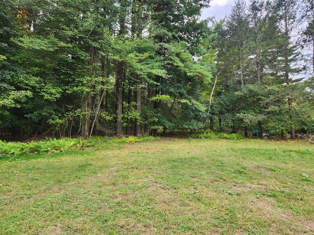 a view of outdoor space and yard