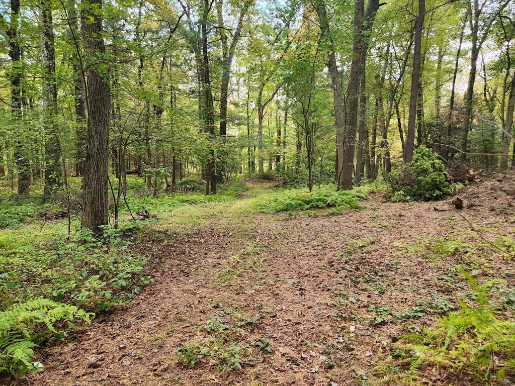 0 Chestnut Street East Longmeadow, MA 01028 - Photo 8 of 8 a big yard with lots of green space and trees
