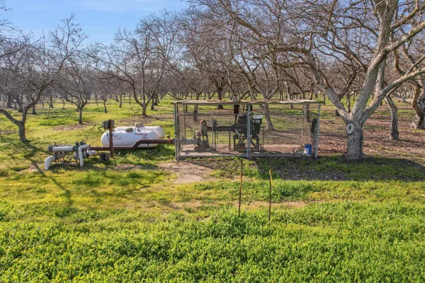 a view of backyard of house