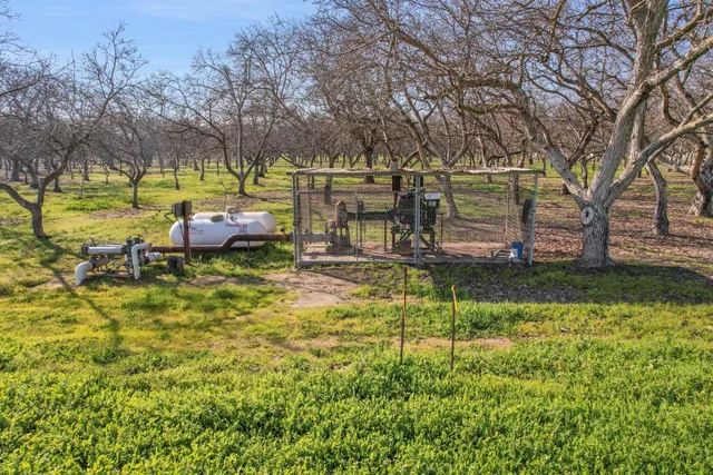 a view of backyard of house