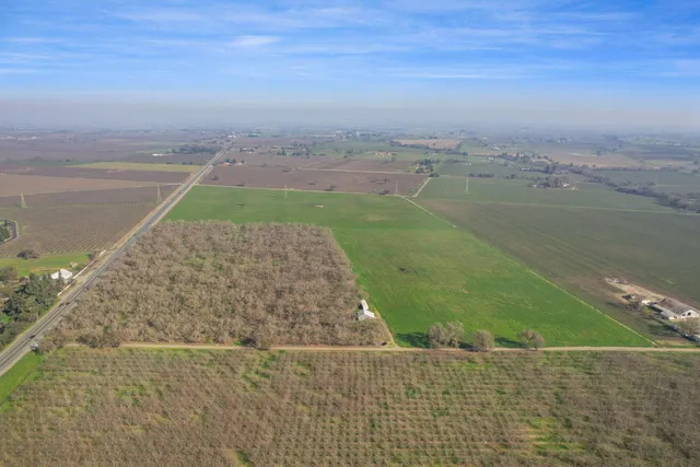 a view of a field with an ocean
