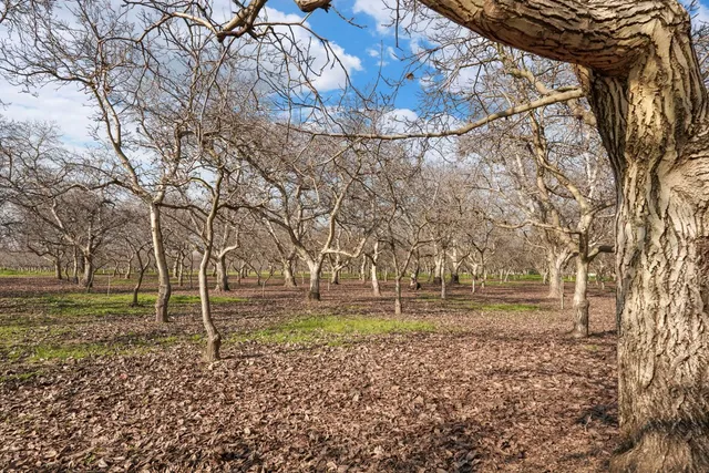 $3,150,000 | 15500 Highway 88, Lockeford, CA 95237