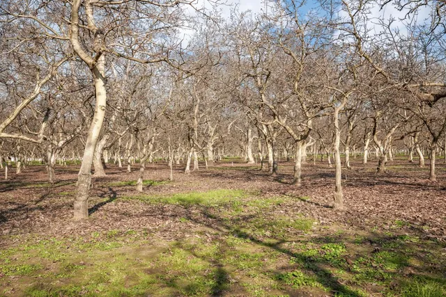 $3,150,000 | 15500 Highway 88, Lockeford, CA 95237