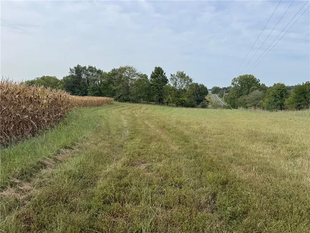$220,000 | Tbd State Hwy V Highway, Gallatin, MO 64640
