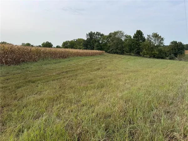 $220,000 | Tbd State Hwy V Highway, Gallatin, MO 64640