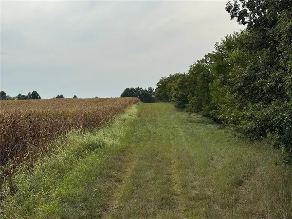 $220,000 | Tbd State Hwy V Highway, Gallatin, MO 64640