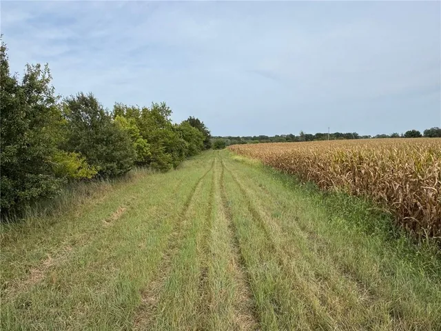 $220,000 | Tbd State Hwy V Highway, Gallatin, MO 64640