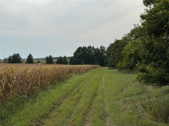 $220,000 | Tbd State Hwy V Highway, Gallatin, MO 64640