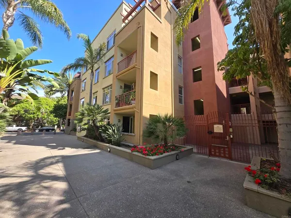 a view of a street with palm trees