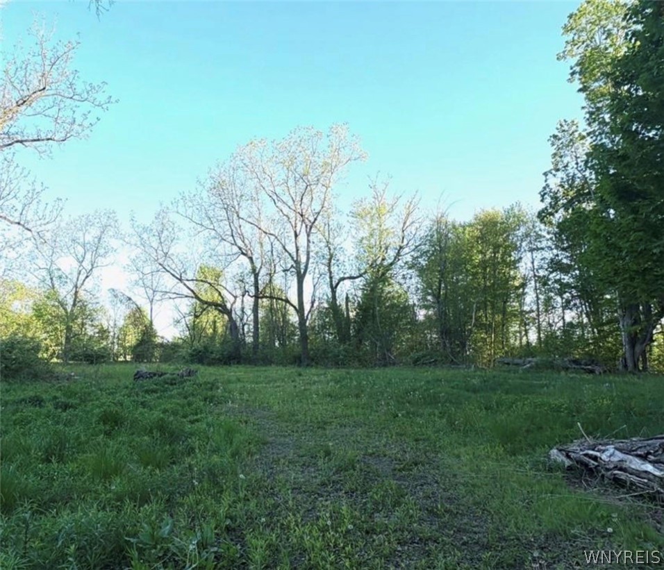 1441 Sturgeon Point Road Evans, NY 14047 - Photo 3 of 4