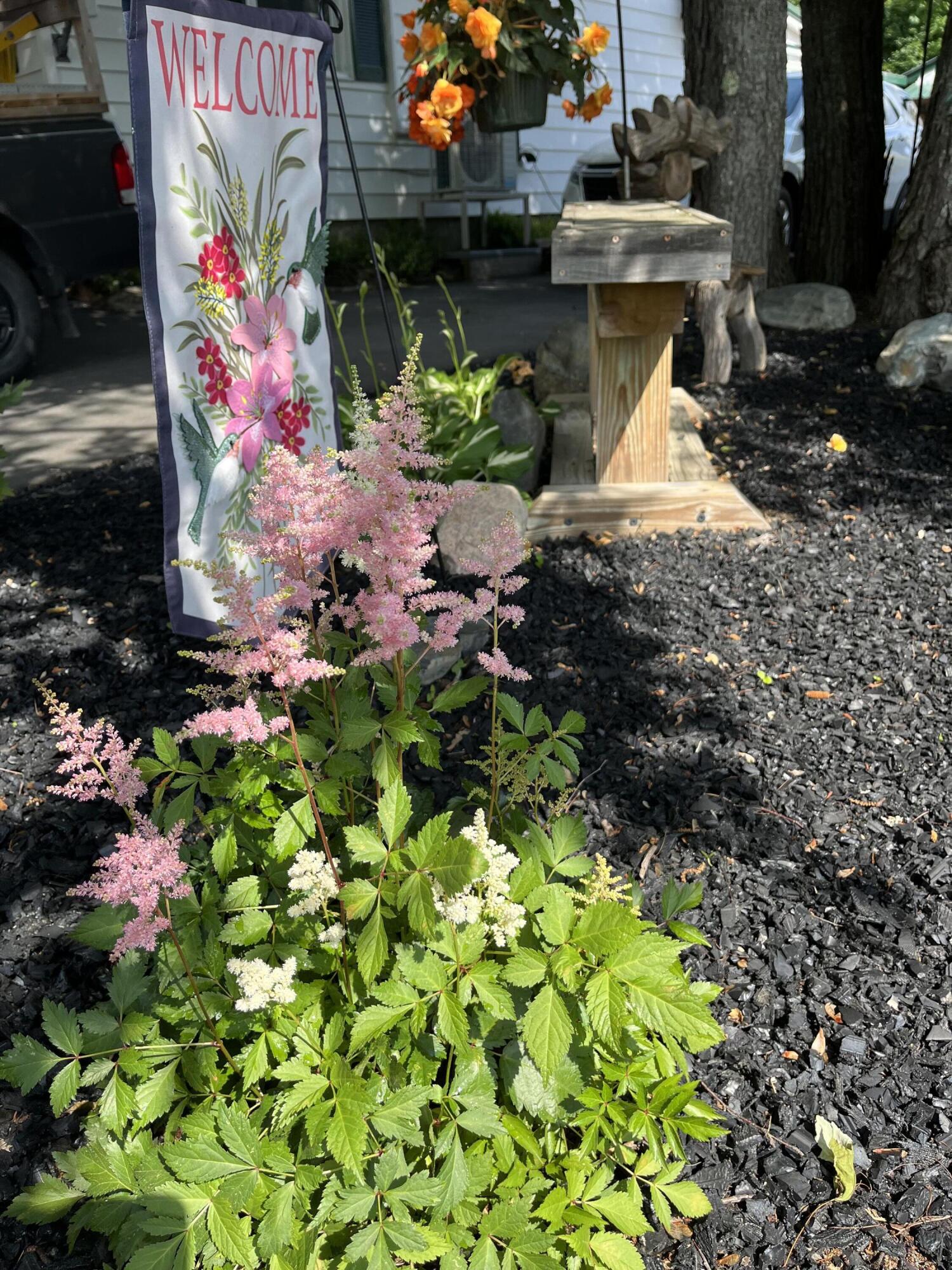 18 Winter Street Millinocket, ME 04462 - Photo 29 of 36 060F6255-3D47-4A00-88D3-AD3947C32F18