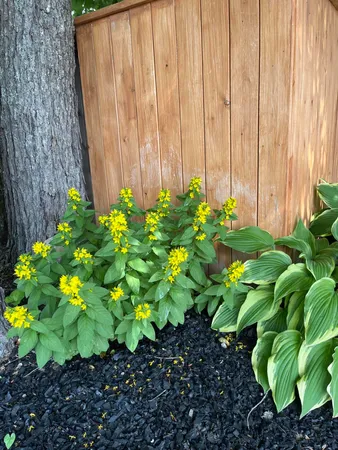 $184,000 | 18 Winter Street, Millinocket, ME 04462