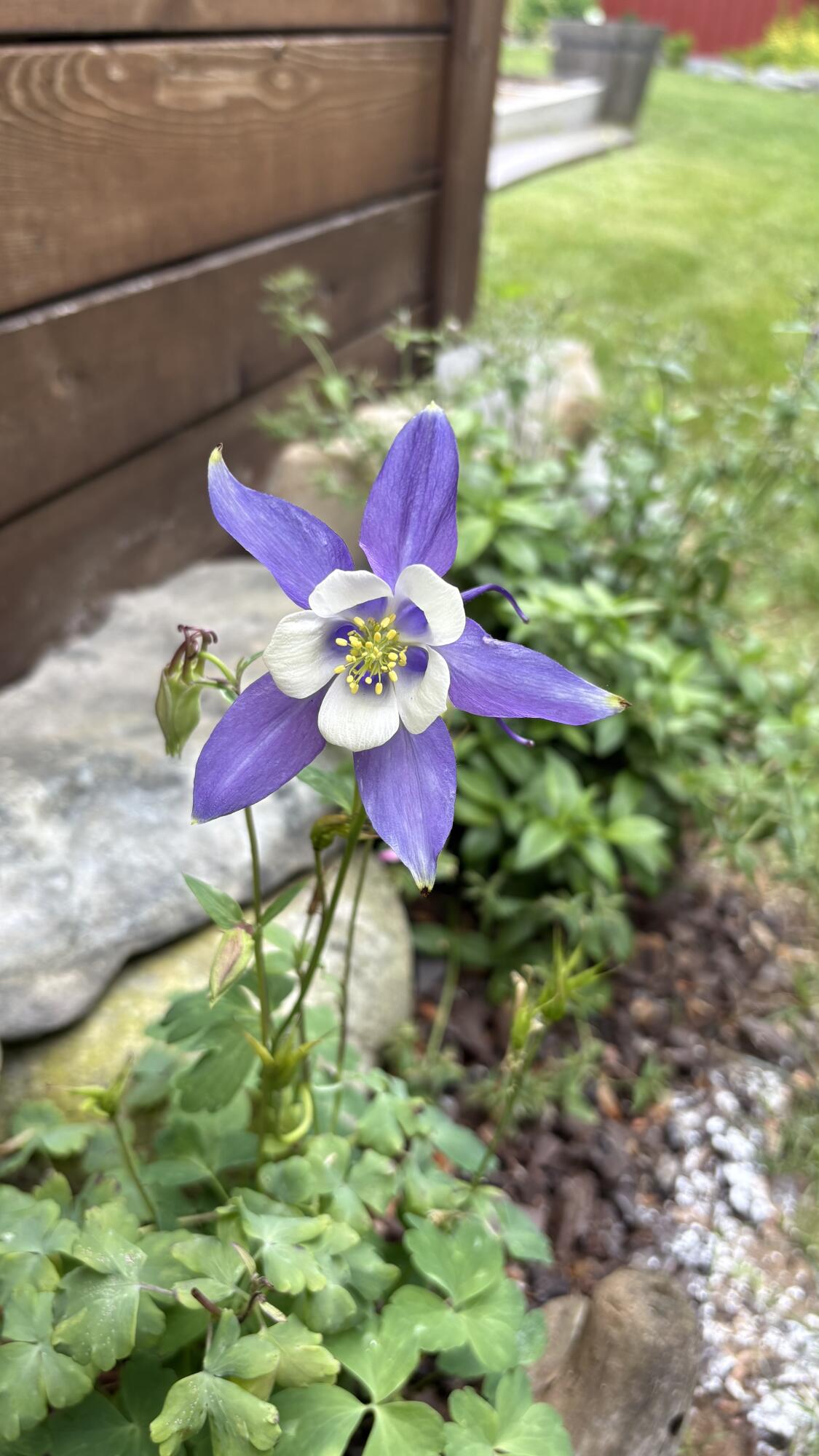 18 Winter Street Millinocket, ME 04462 - Photo 31 of 36 1393816B-926E-4B59-94E5-312BD6CBC542