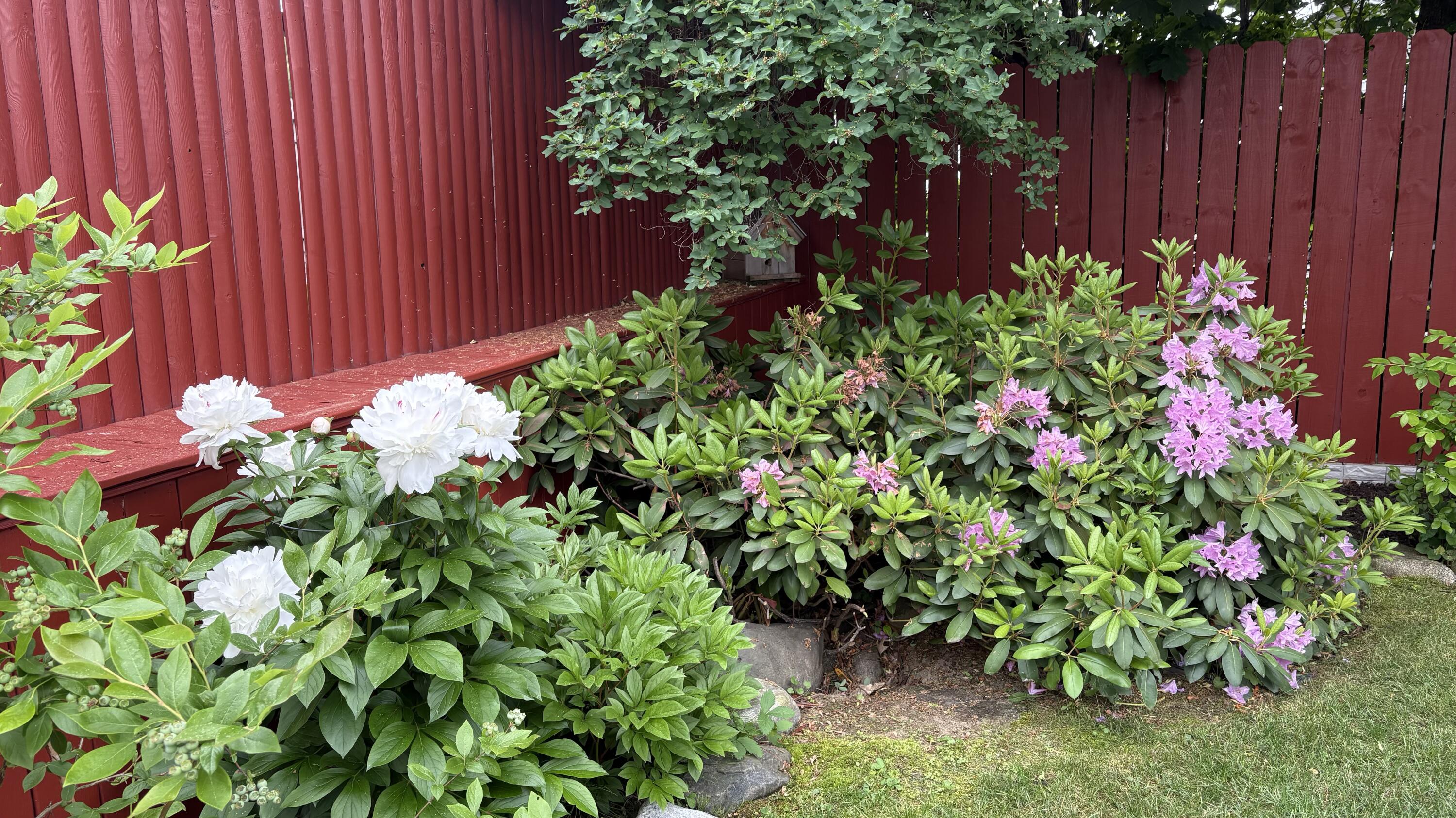 18 Winter Street Millinocket, ME 04462 - Photo 32 of 36 D82C679A-34CA-4EE7-831A-E4E3D51C016F