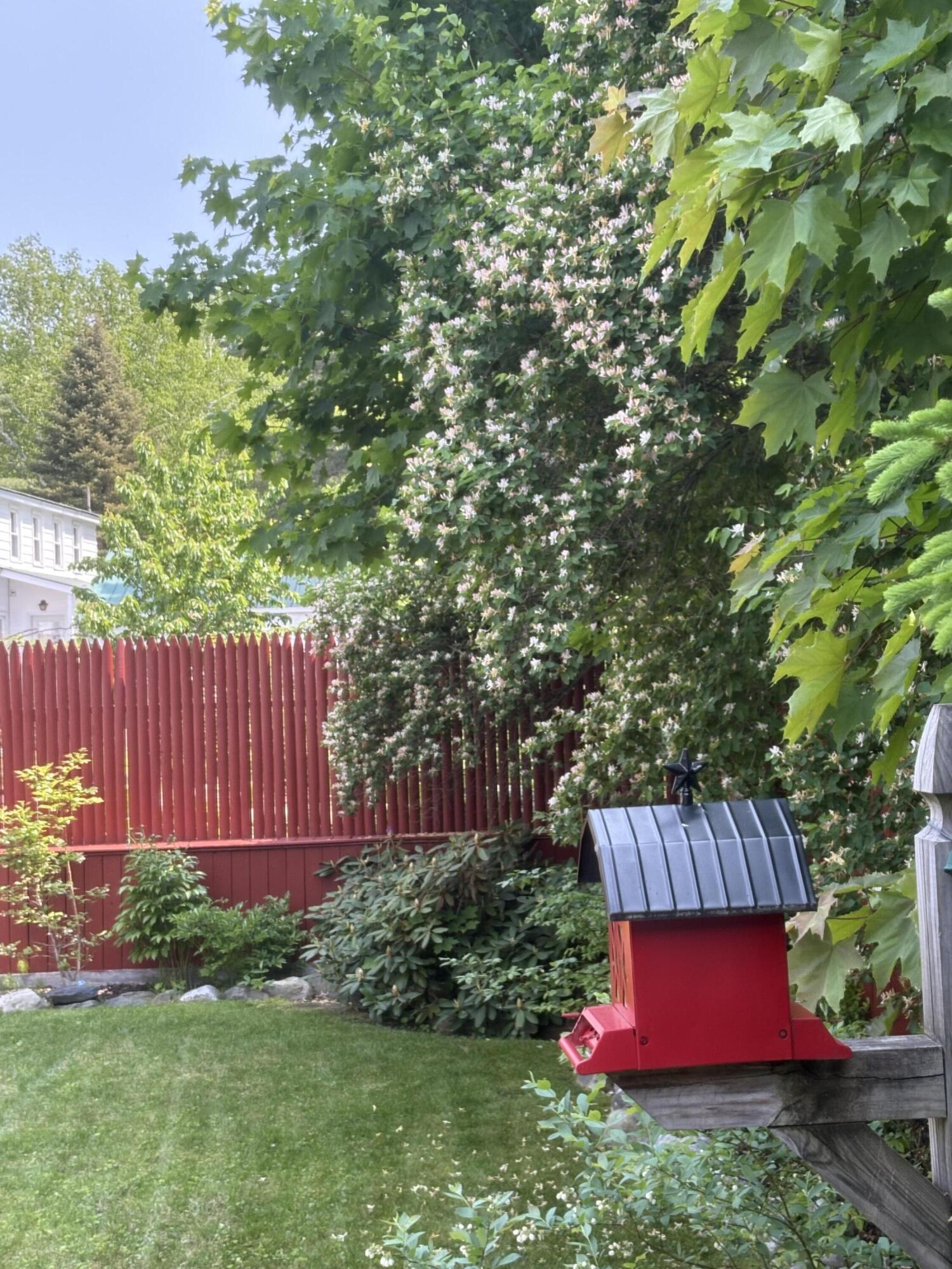 18 Winter Street Millinocket, ME 04462 - Photo 35 of 36 265238E3-879B-4E14-A27A-94AAD4A160EC