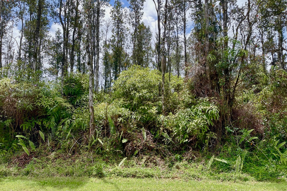 175 Kailua Road Pahoa, HI 96778 - Photo 4 of 16