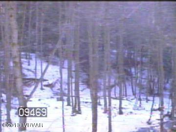 0 Rock Run Road Cogan Station, PA 17728 - Photo 1 of 1 Main